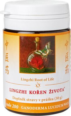 200h Lingzhi - koreň života GANODERMA LUCIDUM WAN