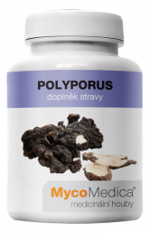 POLYPORUS Polyporus umbellatus - Choroš oříš - tablety